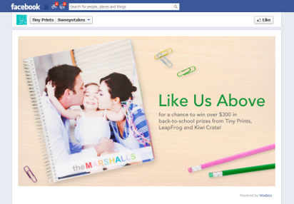 Example FanGate Page