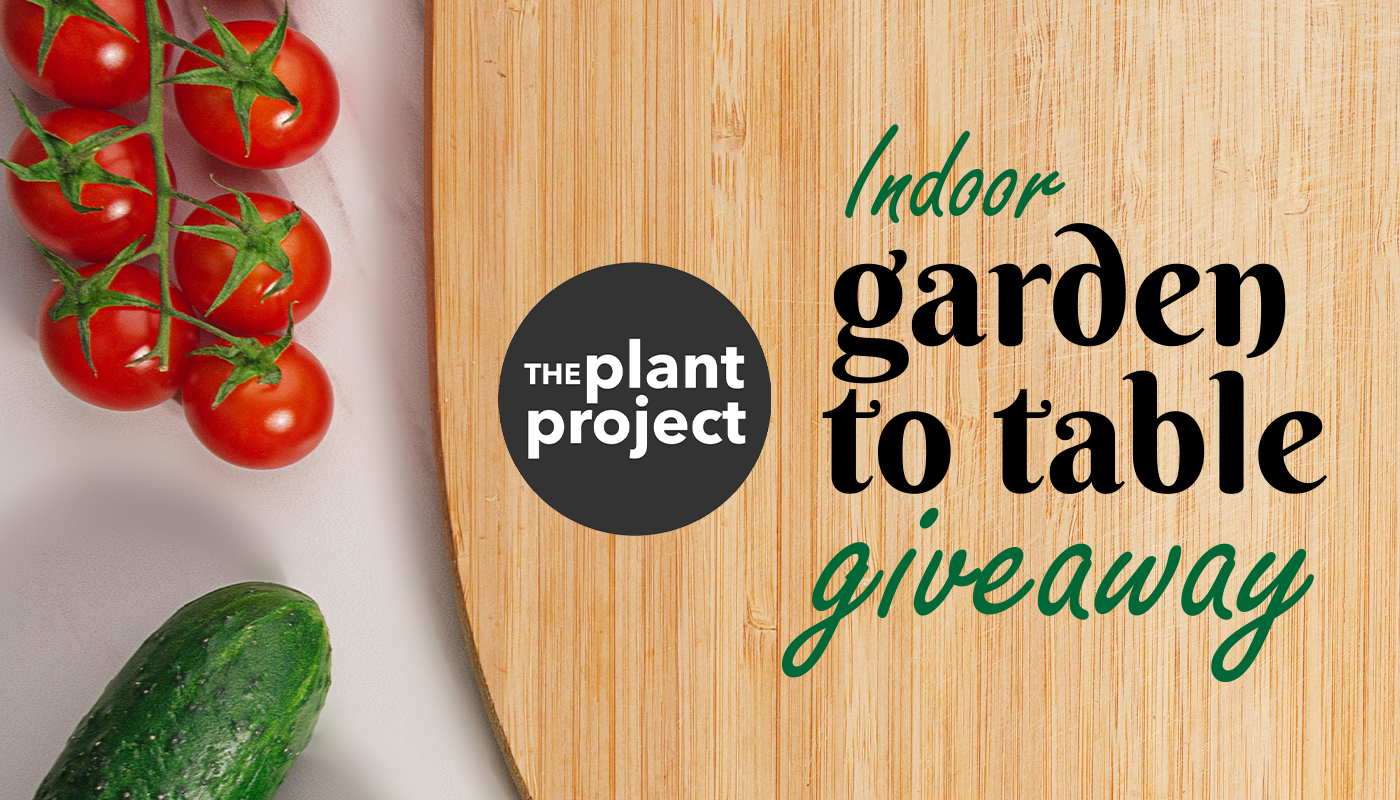 online contests, sweepstakes and giveaways - Indoor Garden to Table Giveaway