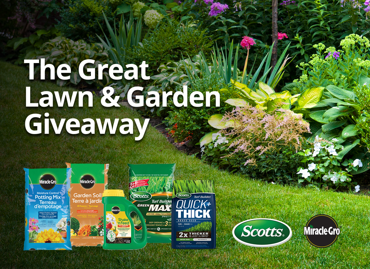 online contests, sweepstakes and giveaways - Scotts® Lawndry Detergent